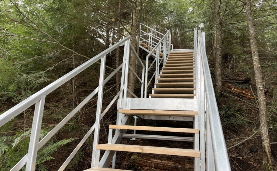 Escalier sur une pente en forêt