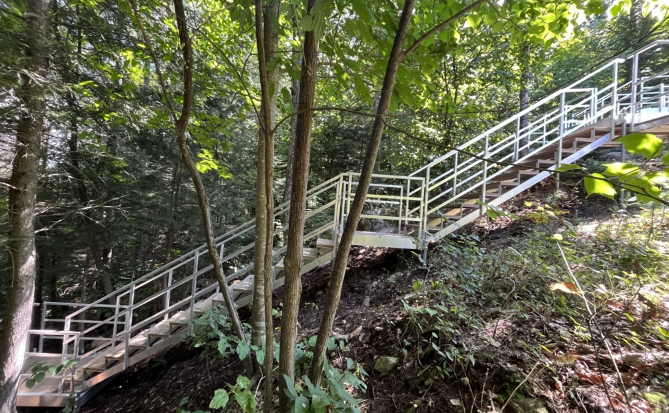Escaliers en forêt