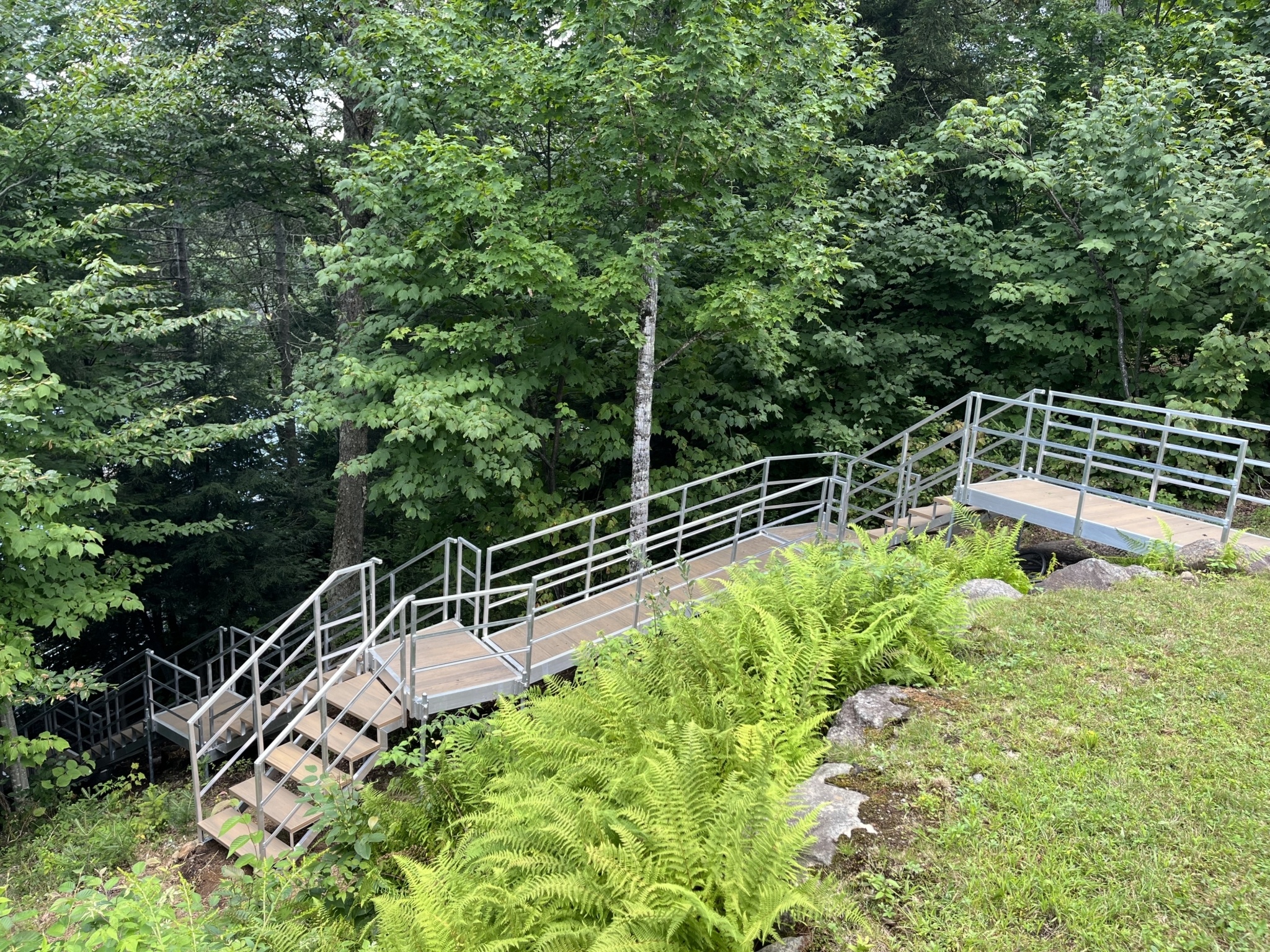 Escalier en forêt